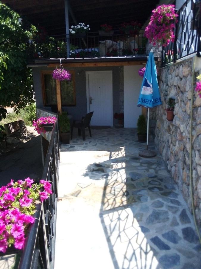 Guest House Stevovski Elshani Luaran gambar