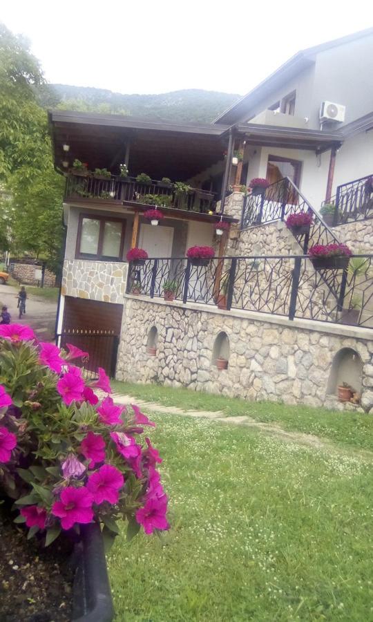 Guest House Stevovski Elshani Luaran gambar