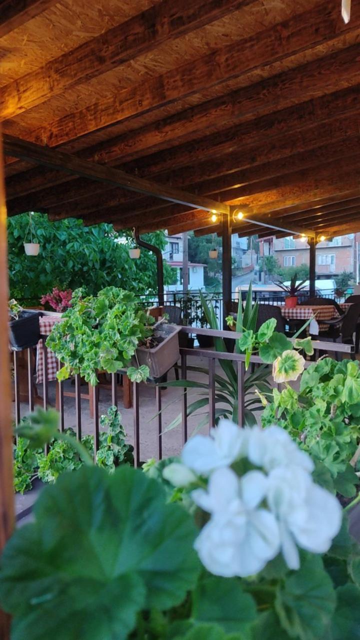 Guest House Stevovski Elshani Luaran gambar
