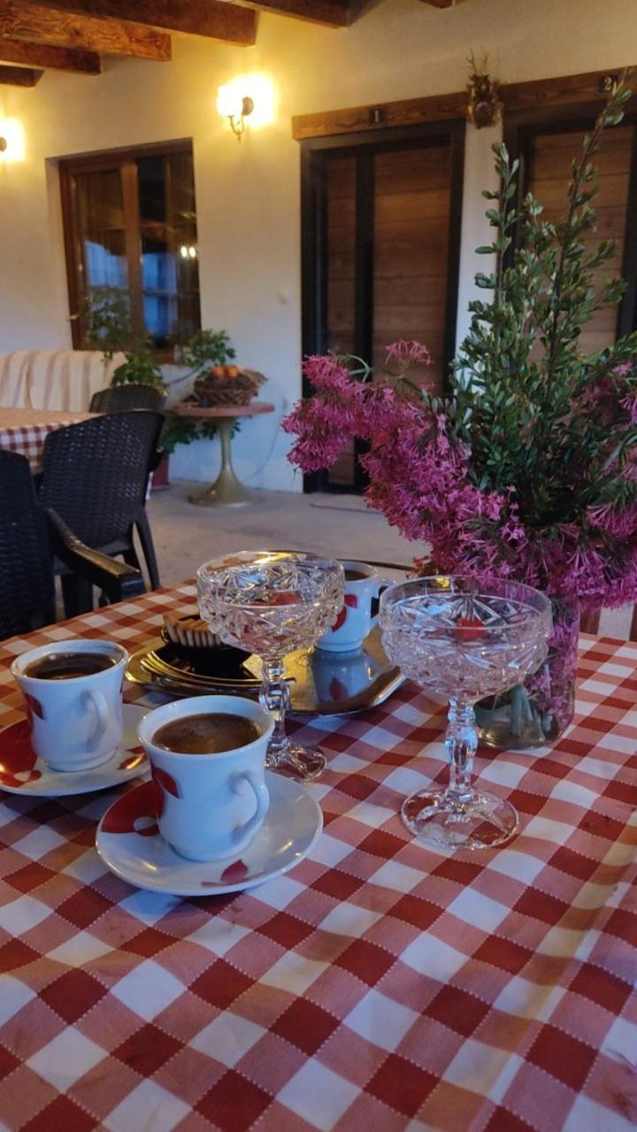 Guest House Stevovski Elshani Luaran gambar